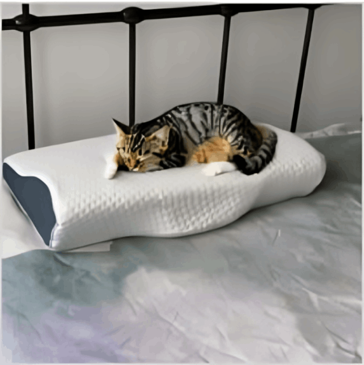 Derila Pillow customer review William P.